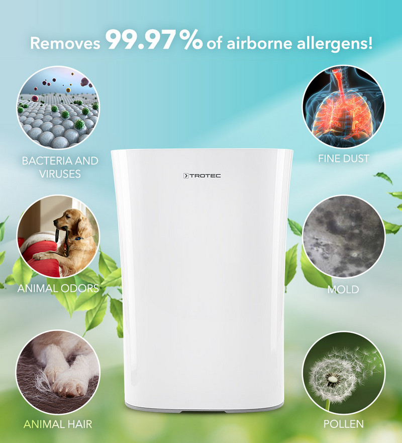 AirgoClean® 110 E