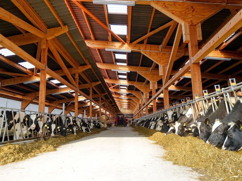 Climatización en el sector agrario 