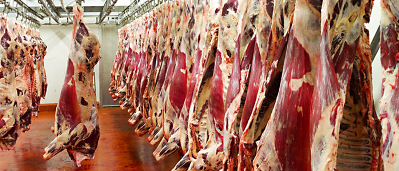 Deshumidificación en la industria de carne-Trotec