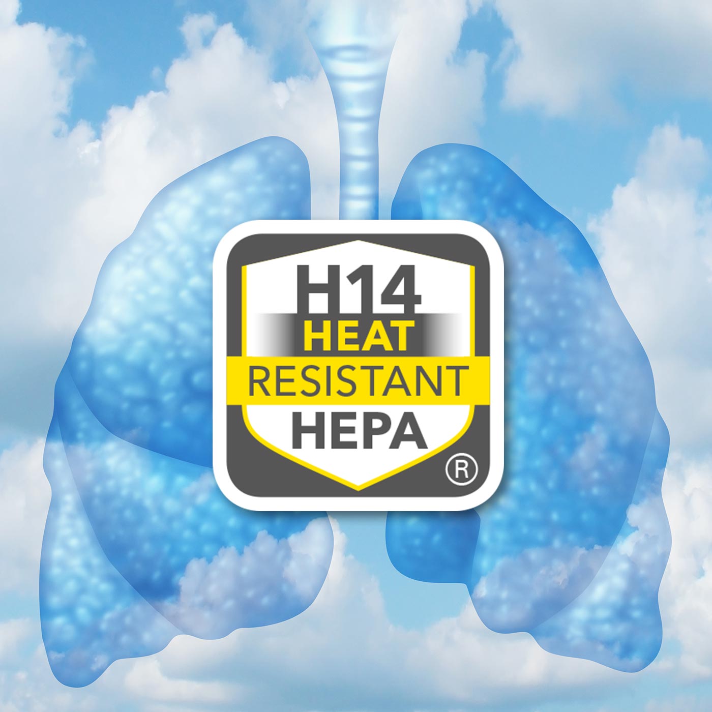 Purificación del aire HEPA y filtrado de virus con la TAC XT